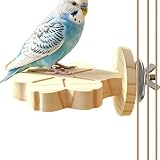 Huxibai Cintres pour perruches, plateau de repos en bois pour oiseaux - Cintre en bois pour cacatoès ninfa pour perruches, pinsons, nymphes, cacatoès, perroquets, conures, inséparables et canaris