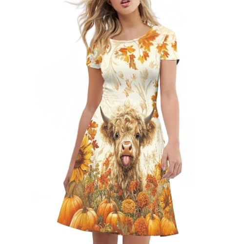 Image of Irisjudy T Shirt Dress for Women Short Sleeve Girls Short Sleeve Dress Plus Size, O Neck Knee Length Midi Dress for Ladies