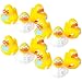 Rhode Island Novelty 2" Dental Rubber Ducky (12 Piece)