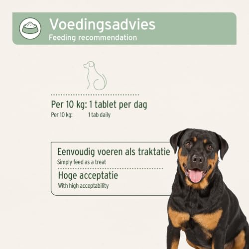 AniForte Gelenktabletten Hund AgilityVet 300 Stück - Natürlich & getreidefrei, mit Grünlippmuschel, Teufelskralle, Kollagen Pulver & Weihrauch für Hunde Gelenke & Sehnen