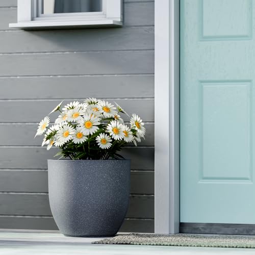 Image of YUCCABE ITALIA FOXB PCUP 15 Inch Pots for Plants Highly Durable Polymers Lightweight Indoor Outdoor Flower Pot Gamla Tree Planter Container for Living Room, Balcony, Garden, Office, Gray