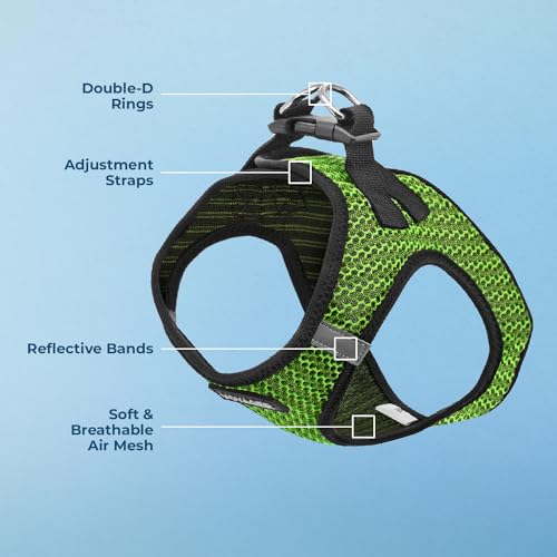 Best Pet Supplies Voyager Step-in Air Harness - All Weather Mesh, Reflective, No Pull Harness for Dogs, Cats - Secure with Hook & Loop Fastener, Buckle, Double D-Rings - Lime Green 2-Tone, S by Best Pet Supplies - Image 3