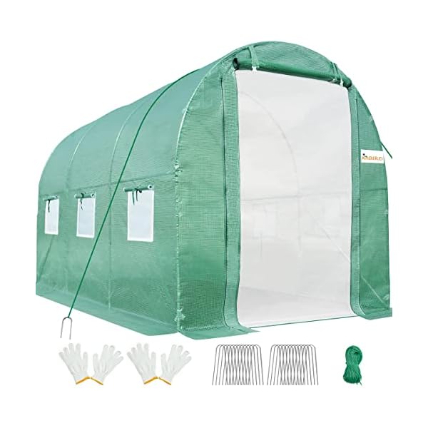 KING BIRD Upgraded 10x6.6x6.6FT Large Walk-in Greenhouse Heavy Duty Galvanized Steel Frame 2 Zippered Screen Doors 6 Screen Windows Tunnel Garden Plant Hot Green House 18 Stakes 4 Ropes 2 Gloves Green
