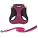 Voyager Step-in Air All Weather Mesh Harness and Reflective Dog 5 ft Leash Combo with Neoprene Handle, for Small, Medium and Large Breed Puppies by Best Pet Supplies -Fuchsia 2-Tone (Leash Bundle) S