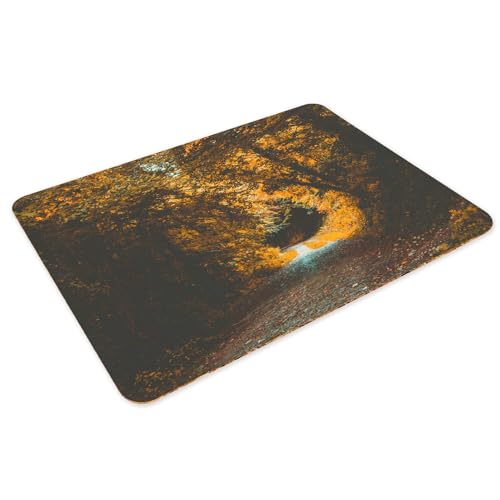 Sets de table en liège grand format avec paysage naturel de forêt pour table de cuisine moderne