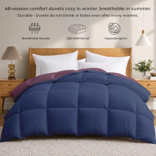 Image of AYKA Reversible Comforter 220 GSM Microfiber Reversible AC Comforter /Blanket for Winter /Quilt /Dohar /Duvets for King Size Blanket /Comforter Double Bed (Plum & Navyblue, 90 * 100 inch)