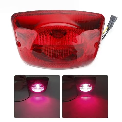 Luces traseras para motocicleta LX 150 y LXV 125 con kit de parada 2