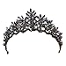 Frcolor Vintage Barock Krone Legierung Prom Quenn Krone Braut Tiara Hochzeit Kopfschmuck (schwarz)