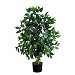 Nearly Natural 3' Ficus Silk Tree, Green