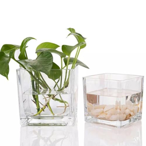 Vase hydroponie verre carré transparent résistant thermique x4