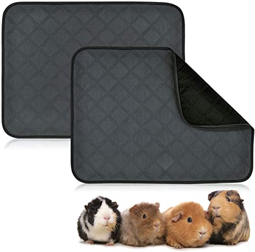 RANYPET Set van 2 matten voor caviakooi, Pipi pads voor cavia's, wasbaar, waterdicht, antislip, absorberende deken voor kleine dieren, dwergkonijn, chinchilla, egel (L (60 x 45 cm), zwart)