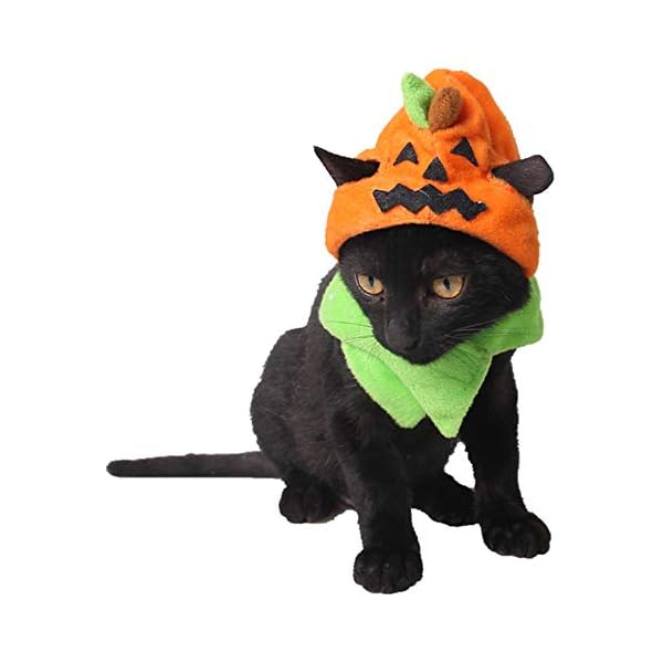 Idepet cat costumes, costumes for cats pumpkin hat cat halloween costumes adjustable hat for party decoration small pet cat cap - image 3