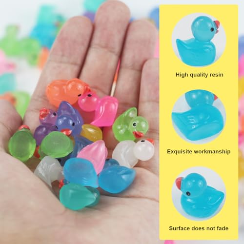 Veiteibe 120 Pezzi Piccola Anatra in Resina, Mini