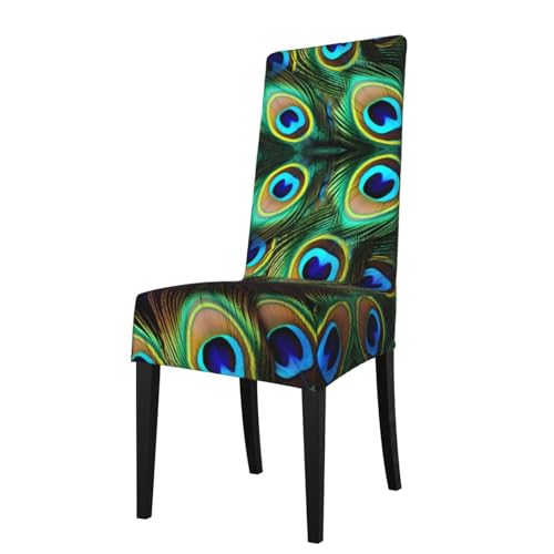 WZYWHJ Funda extraíble para silla de comedor con estampado de plumas de pavo real, cómoda y suave, elástica para cocina, sala de estar y cena