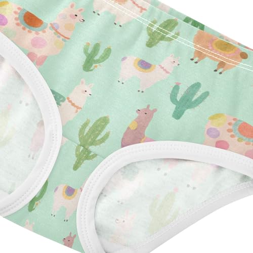 Brief Panties All Seasons Panties Comfort Color for Girls in Sizes 2T,3T, 4T, 5T, 6Y and 8Y4