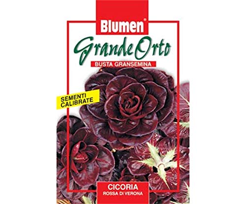 BLUMEN SEMENTI, CICORIA ROSSA DI VERONA