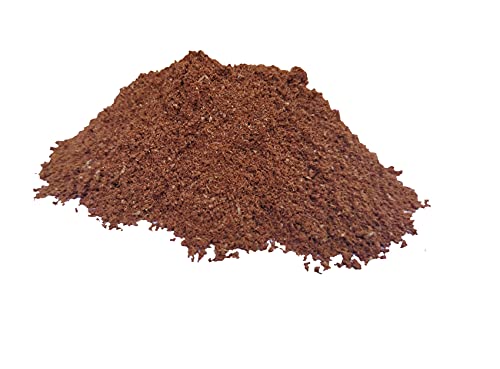 Madinah Ajwa Date Seed Powder Pure Organic