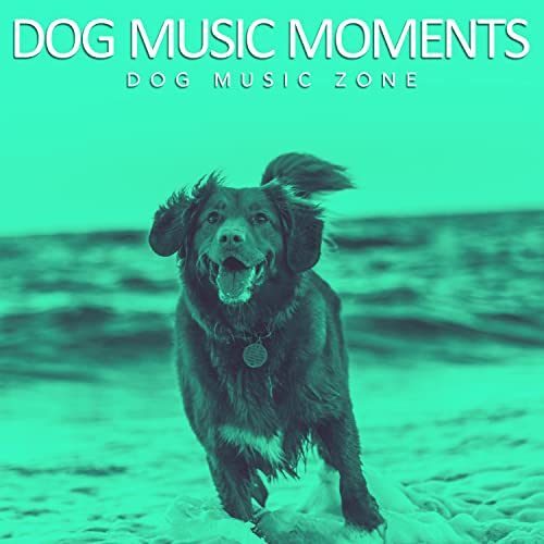 Play Dog Music Moments by Dog Music Zone on Amazon Music
