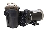 Hayward SP1580X15TL PowerFlo LX 1.5 HP Above-Ground Swimming Pool Pump, Twist Lock Cord
