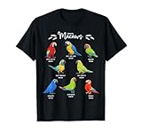 loros guacamayo azul ¿Conoces las diferencias entre el guacamayo de alas verdes, el guacamayo rojo claro y el guacamayo jacinto? Este simpático resumen te muestra ocho especies muy conocidas.