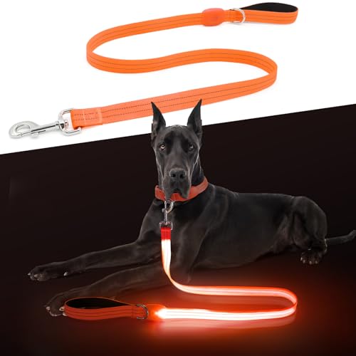 LED Dog Leash, Light Up Dog Leash 4 Ft USB Rechargeable Waterproof, Nylon Reflective Leashes with...