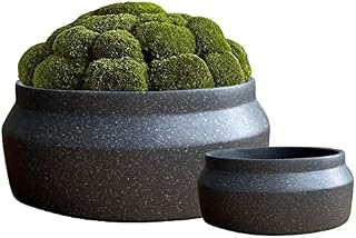 Shallow Plant Pots Set 2 Succulent Plant Pots Round Ceramic Planters Indoor Cactus, Bonsai, Succulents Flower Pots Wide Plant Pot Bowl Indoor Planters