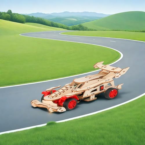 Experimente für Kinder ab 8, 9, 10, 11, 12, 13, 14 Jahren,Formel 1 Ferngesteuertes Auto Bausatz aus Holz für Jungen & Mädchen,Wissenschaftsspielzeug Geschenk Lernspielzeug für 8-12 Jährige