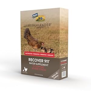 Recover 911, Severe Stress Probiotic Water Supplement for Chickens with Electrolytes, Prebiotics & Oregano, Molting, Extreme Weather, and Predator Attack Support, 8 oz