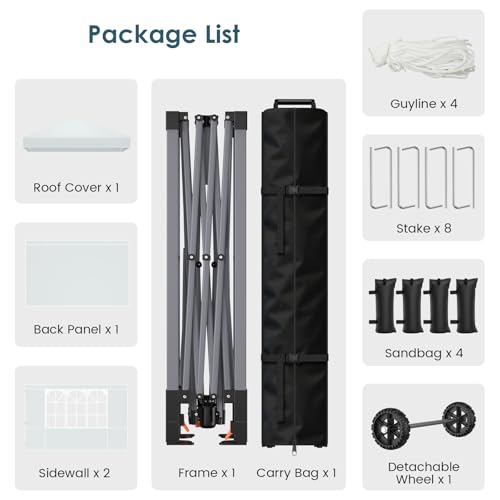 Raynesys 10x10 Pop Up Canopy Tent