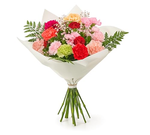 Simple Beauty Bouquet Fresh Flowers - Carnation Autumn Arrangement celebrating Birthdays, Get-Well, Anniversary, Thoughtful Gifting, Floral occasions, Long-Lasting Blooms