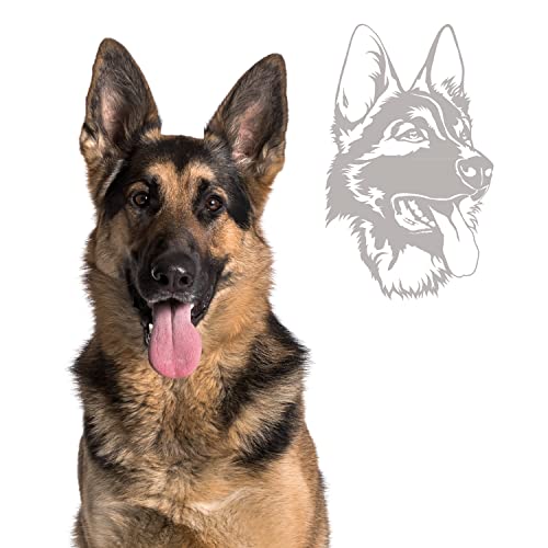 Klebe-X Rassehunde Autoaufkleber Hunde | große Motivauswahl | einfache Konfiguration Hund Autoaufkleber | Größe S