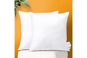OTOSTAR Set of 2 20x20 Pillow Inserts