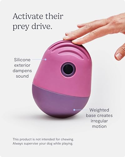 FABLE The Puffin Game Treat Dispensing Dog Toy - Dog Treat Toys Interactive Entertainment & Mental Stimulation - Dog Treat Toy That Mimics Hunting Prey - Dog Food Dispenser Toy for a Meal - Purple - Thumbnail 5
