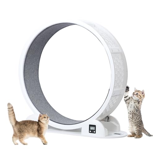 OSKOPWRC Rueda de ejercicio para gatos, ruedas grandes de 44 pulgadas para gatos de interior, versátil rueda de correr para gatos con pista silenciosa para pérdida de peso y salud del gato, color