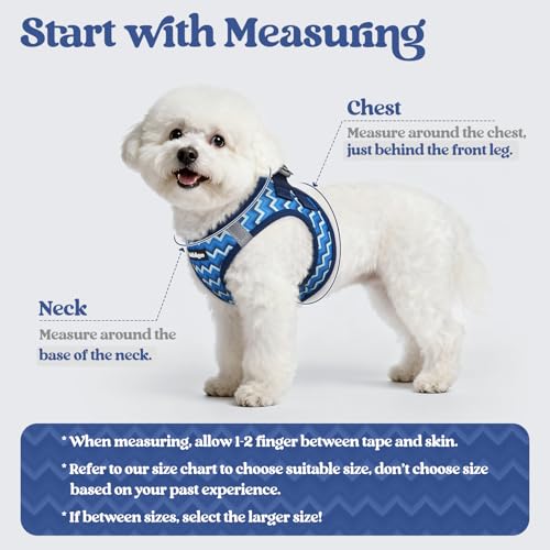 Image of rabbitgoo Dog Harness Small Sized and Leash Set, Step-in Puppy Pet Vest