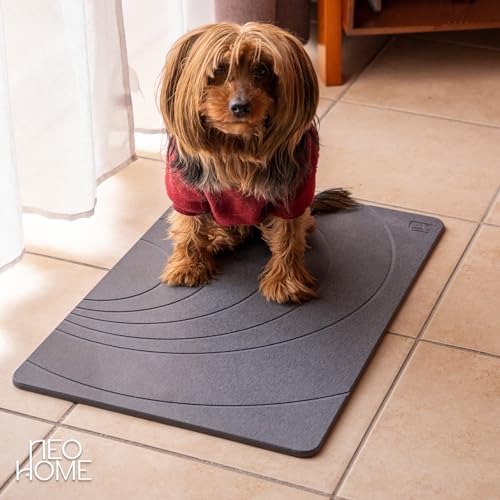 La Mejor Recopilación de Tapetes de piedra disponible en línea para comprar. 23 tapetes de piedra marca NeoHome (2)