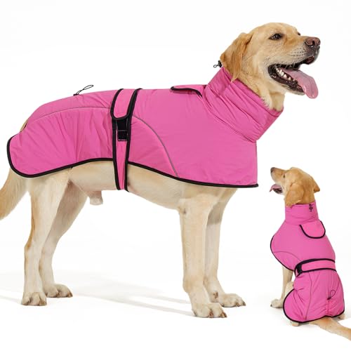 Dotoner Abrigo Perro Impermeable Invierno Chaqueta con Abertura para Arnés Reflectante Cálido Cortavientos Forro Abrigo Perro Pequeño Mediano Grandes Chaqueta Dog Coat