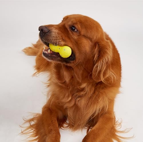 Image of BarkButler x FOFOS Super Bounce Toys Gourd Dog Toy, Tough Chew Toys for Dogs, Dog Toys for Medium Dogs (0-20kgs) - Yellow
