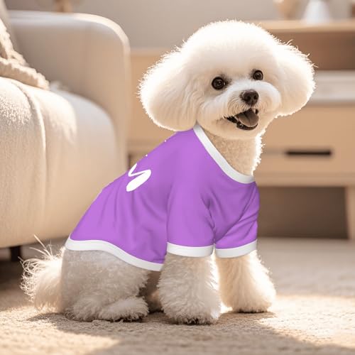 Image of Personalized Dog Shirt, Custom Dog Clothes for Small Dogs, Customized Chihuahua Clothes, Custom Shirts for Dogs, Chihuahua Accessories, Puppy Essentials Girl, Puppy Gift Birthday Party