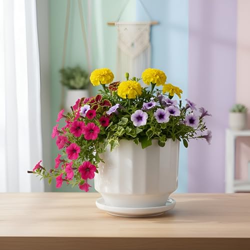 Image of Xtore Minimal Ceramic Ribbed Planter with Base | Compact Plant Pot for Desk, Window & Shelf Decor - (White, 1 Piece, Planter ONLY)