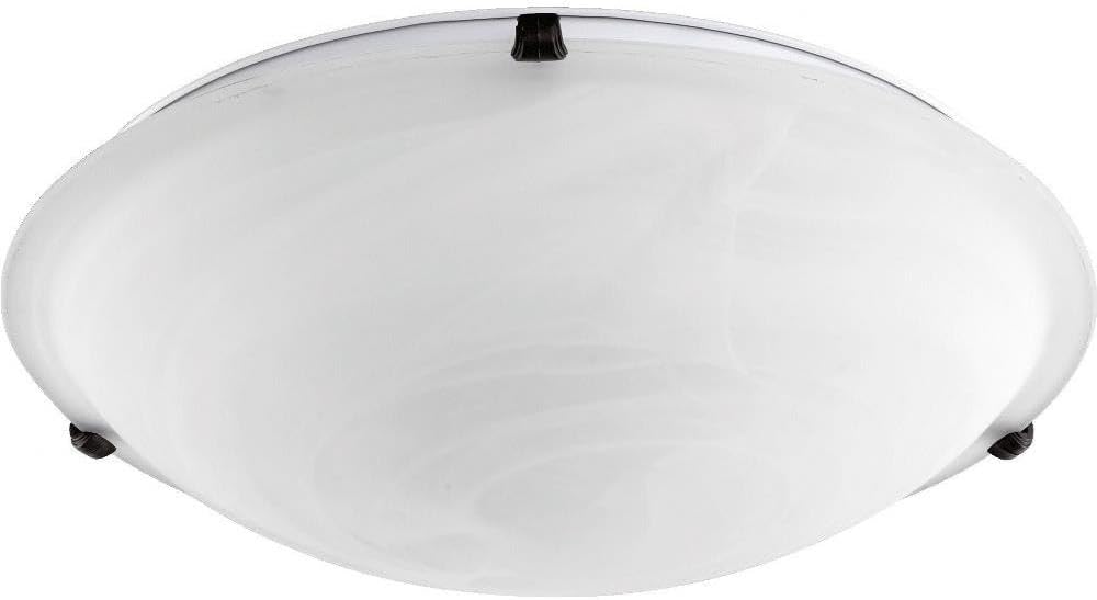 Quorum 3000-20-86 Transitional Four Light Ceiling Mount from Ceiling Mount Collection in Bronze/Dark Finish,