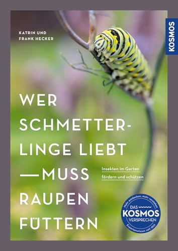 Wer Schmetterlinge liebt, muss Raupen füttern: Insekten im Garten fördern und schützen