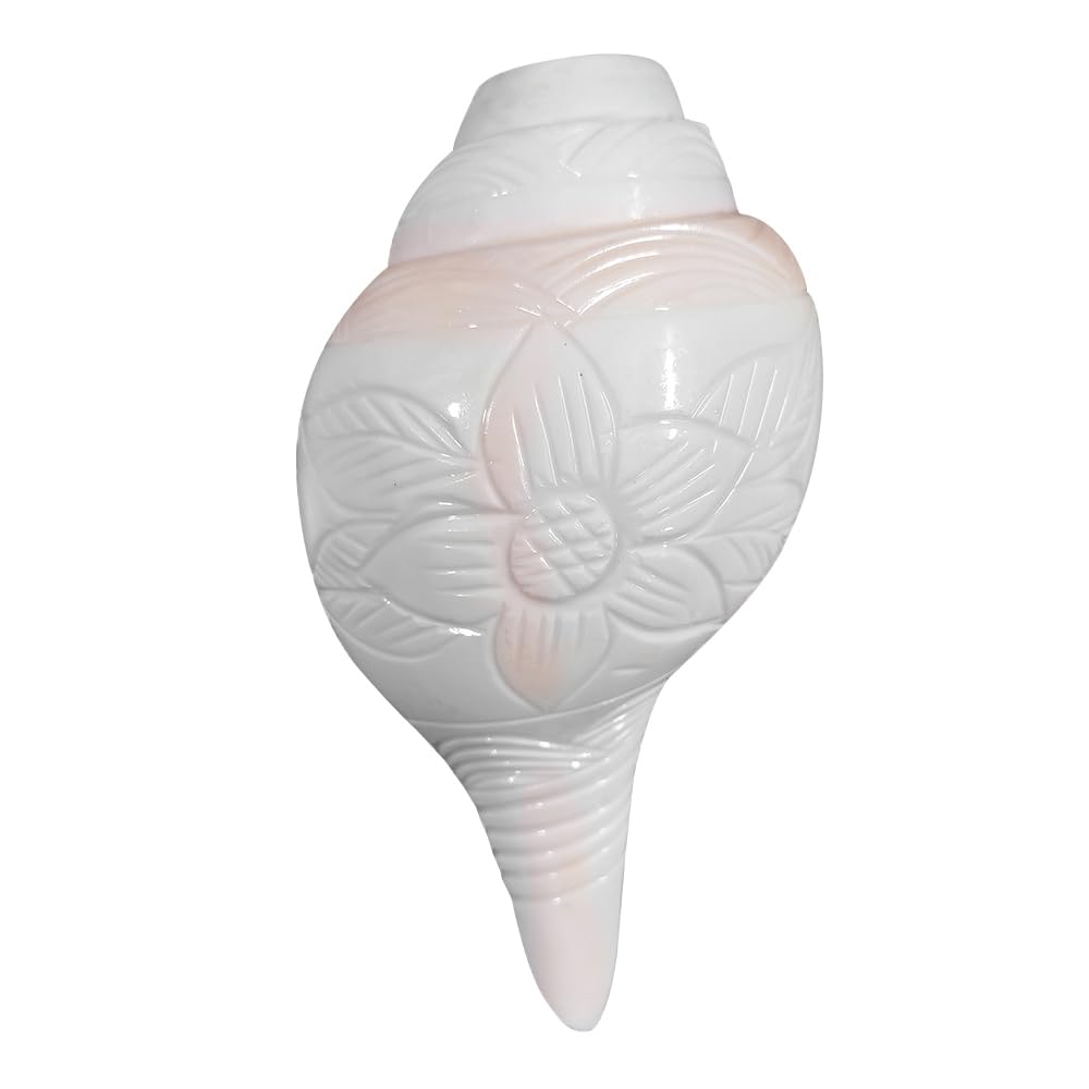 P.Shankha 白法螺 pup Amazon.com - Om Pooja Shop Divine Pooja Blowing Shankha for Aarti