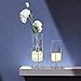 Flower Vase for Decor, Glass Table Vase Set, Clear Vase with Gold Stand, Modern Decorative with Timer LED Lights Battery Operated, Centerpiece/Wedding/Party (Set of 2)