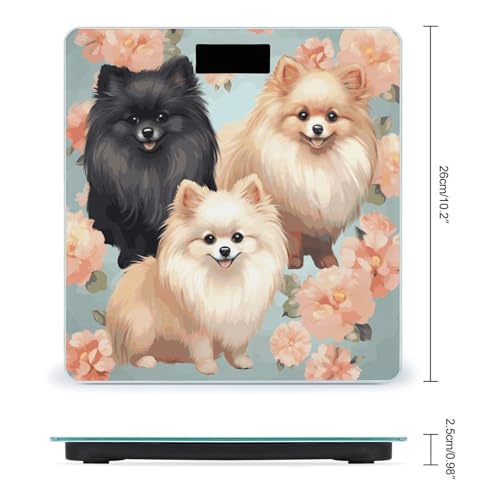 Báscula Digital De Baño Con Diseño De Pomeranianos miniatura 2
