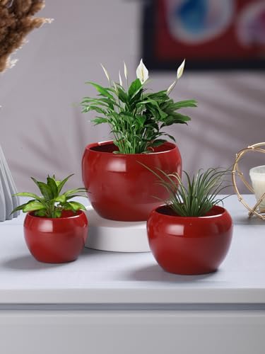 Image of Sunshine Solid Metal Tabletop Planters, Home Decor, Living Room, Office, Restaurant, Table Decor| (Set of 3, Without Plant) (Red)