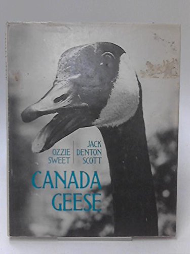 Canada Geese book by Jack Denton Scott