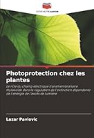 Photoprotection chez les plantes (French Edition) 6208935873 Book Cover