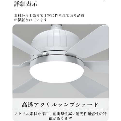 Vailaipupy シーリングファン の商品画像 7