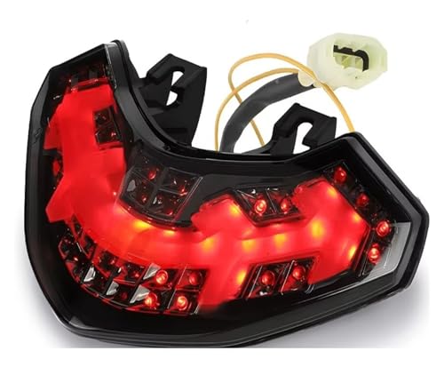 Feux arrière feu arrière LED pour Ducati pour Multistrada 1200 clignotant moto